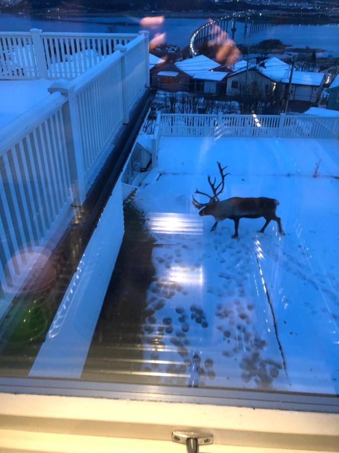 Moderne Og Trivelig Leilighet, Med Unik Utsikt Tromsø Exterior foto